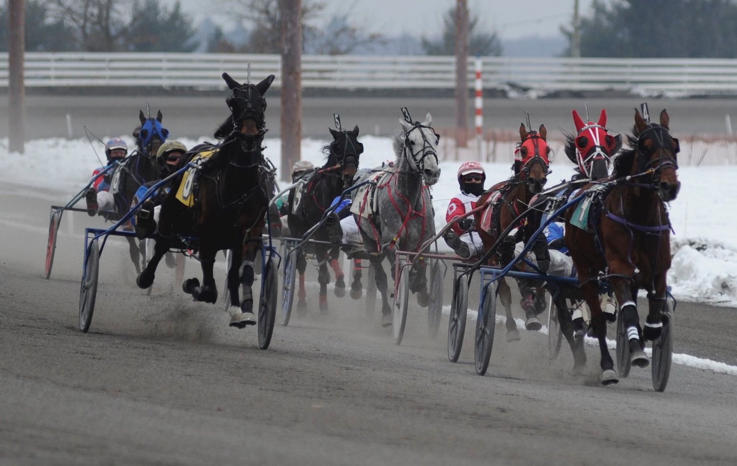 And they’re off! Pictured is the start of the third race, a one-mile pace, with a purse of $5,600 at “The Mighty M” on January 12, 2021.